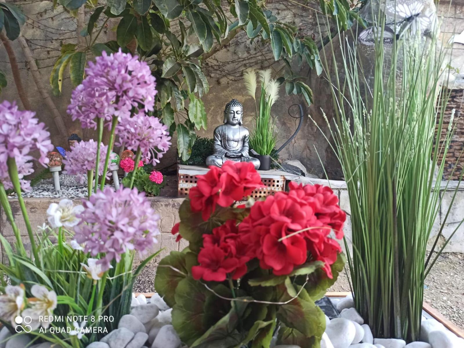 Los Jardines De Lola Daimés Exteriör bild