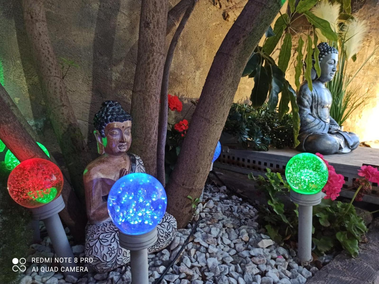 Los Jardines De Lola Daimés Exteriör bild